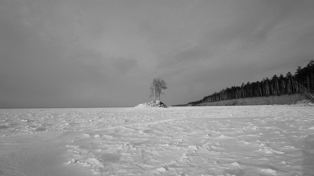 A monochrome shot of snowy trees on the shore of a see