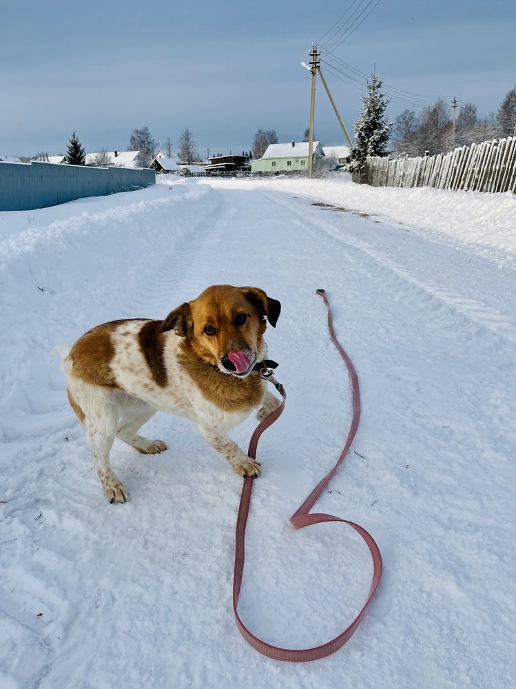 Photograph by Ирина Селиверстова