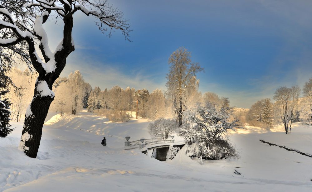 Photograph by ТИЕН ДО