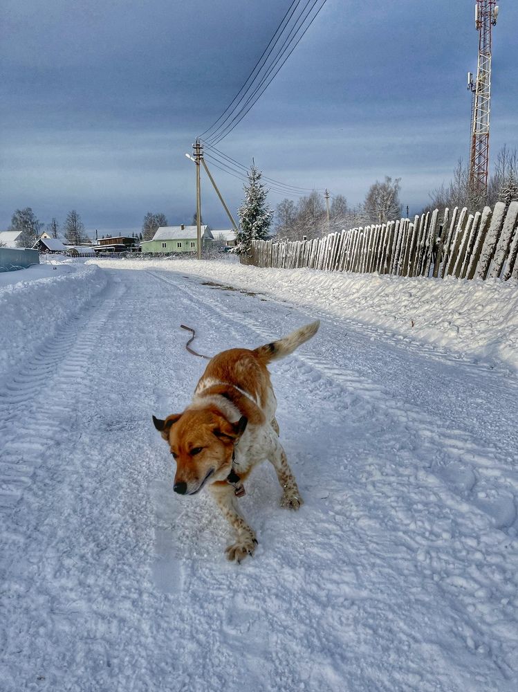 Photograph by Ирина Селиверстова