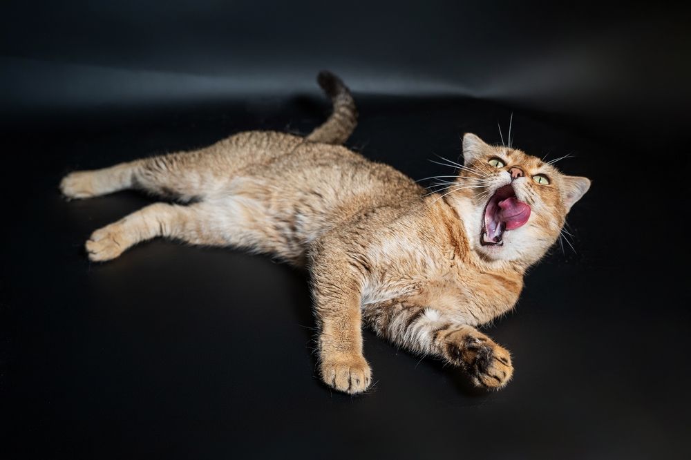 Photograph by Наталья Коржова