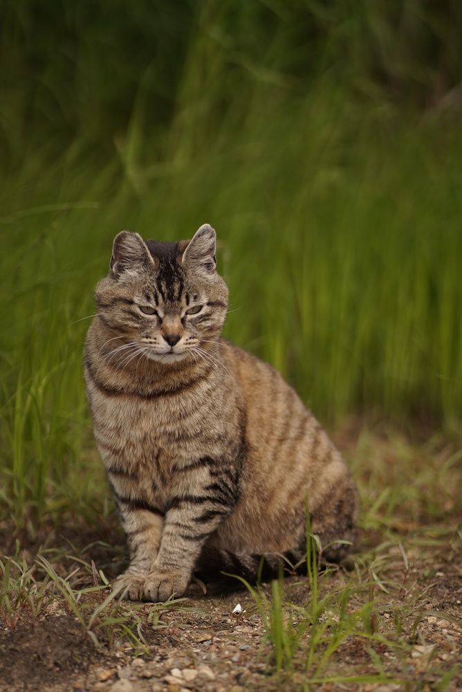 Photograph by Анна Колесниченко