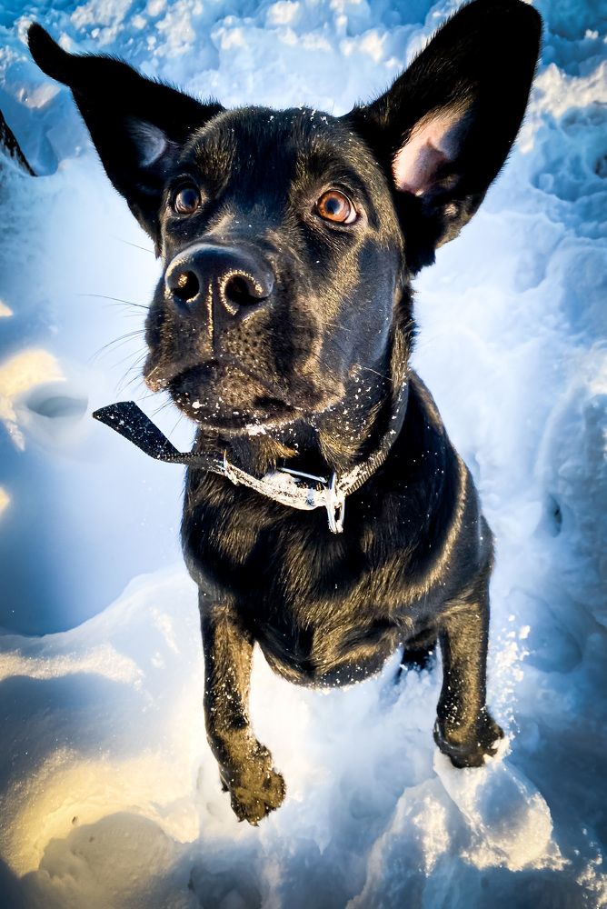 Фотография автора Евгений Кузнецов