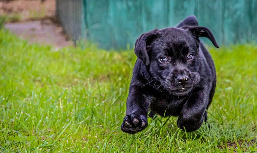 Фотография автора Евгений Кузнецов