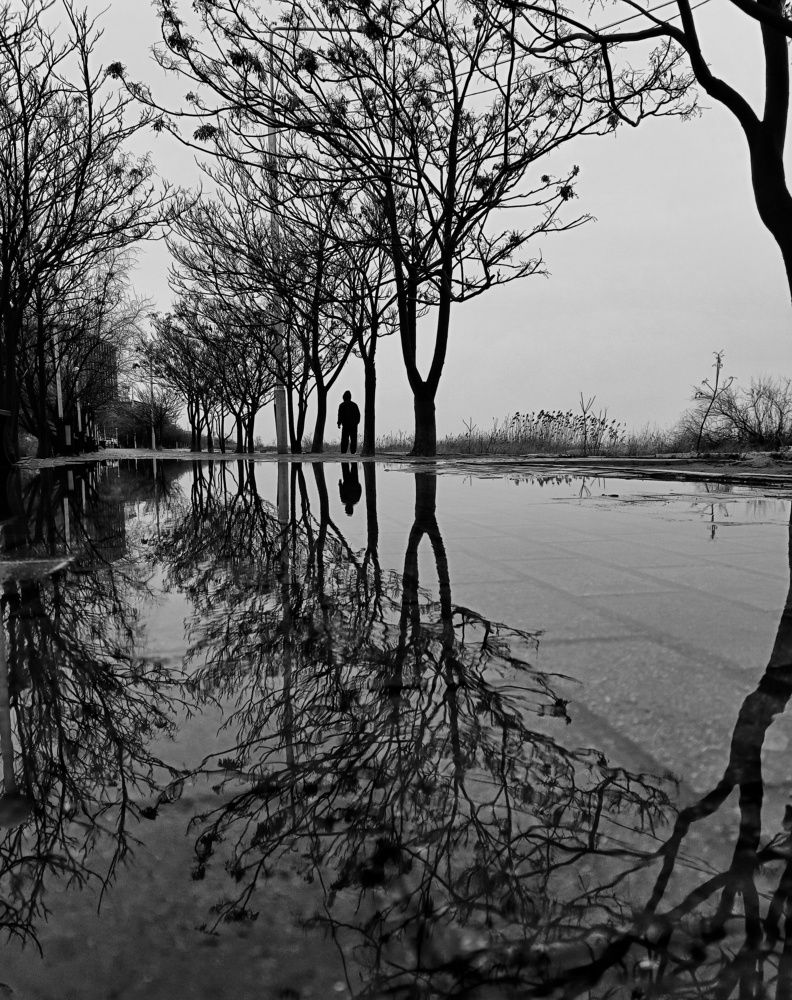 Photograph by Мирослава Сурженко