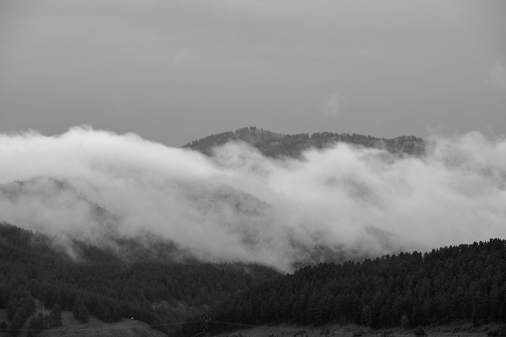 Photograph by Михаил Рогачев