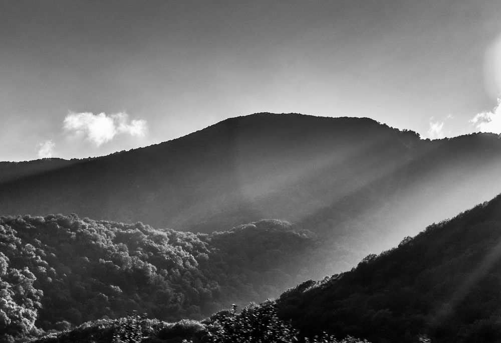 Фотография автора Aliaksandr Shautsou