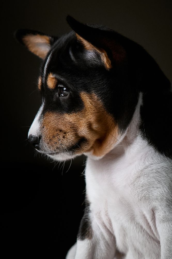 Фотография автора Вострецов Иван