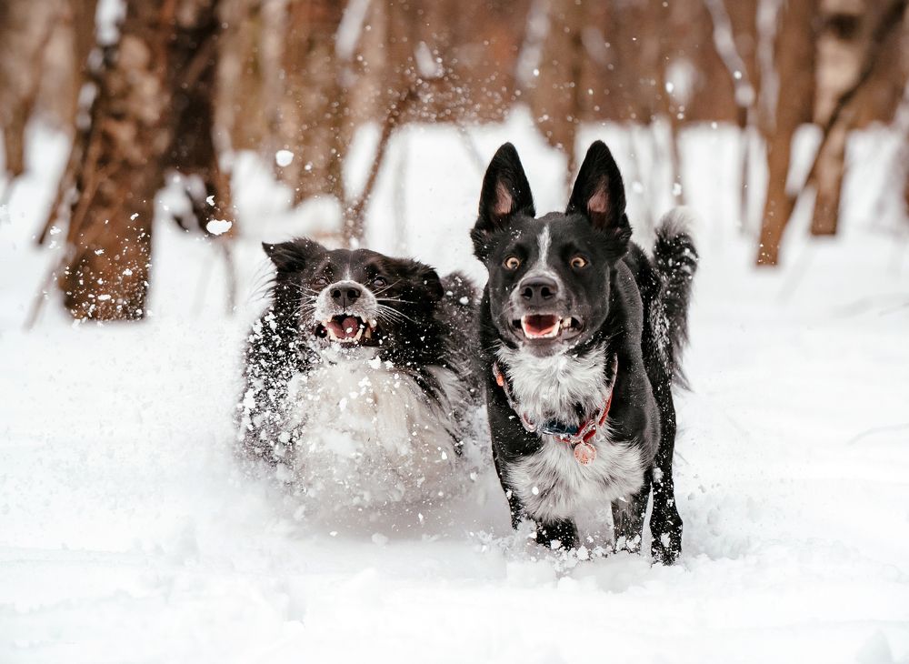 Photograph by Светлана Богданова