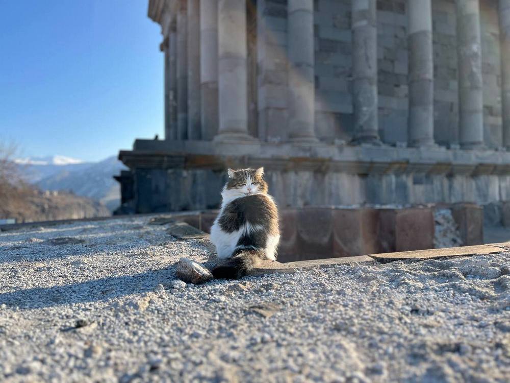 Photograph by Александр Новиков