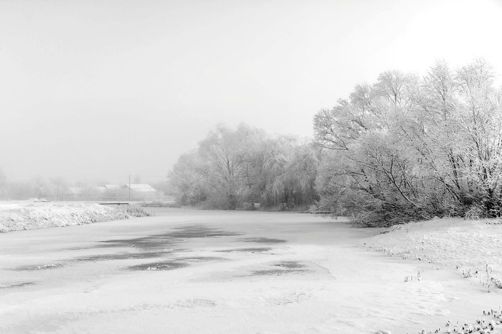 Photograph by Людмила Прибылова