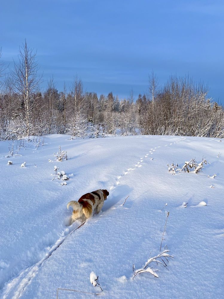 Photograph by Ирина Селиверстова