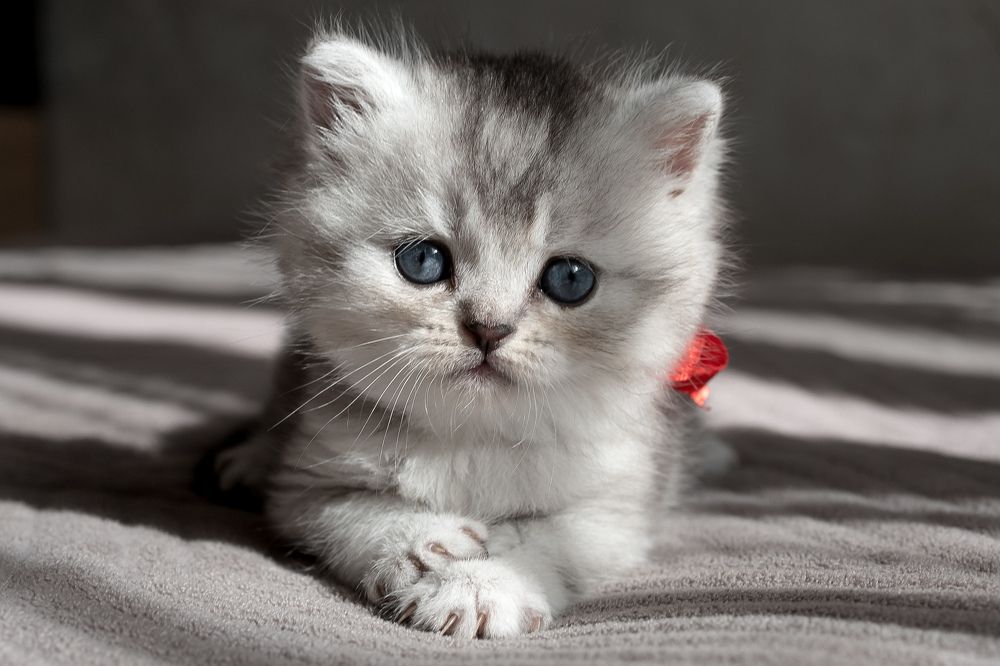 Photograph by Виктория Булатова