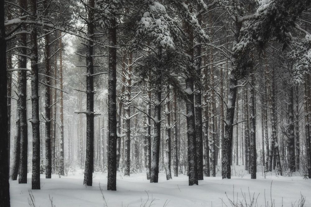 Photograph by Кира Бахвалова