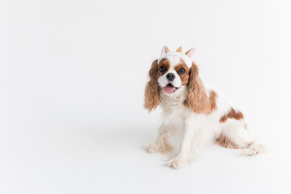 Photograph by Виктория Булатова