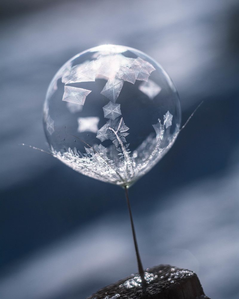 Photograph by Людмила Прибылова