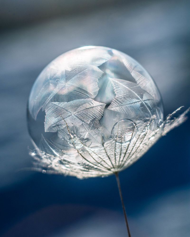 Photograph by Людмила Прибылова