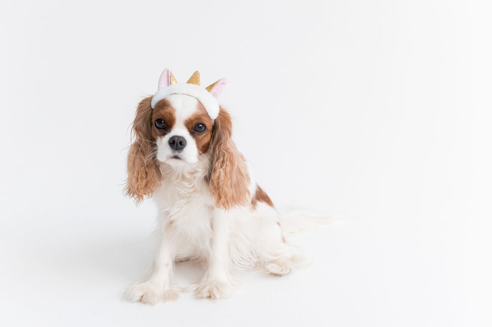 Photograph by Виктория Булатова