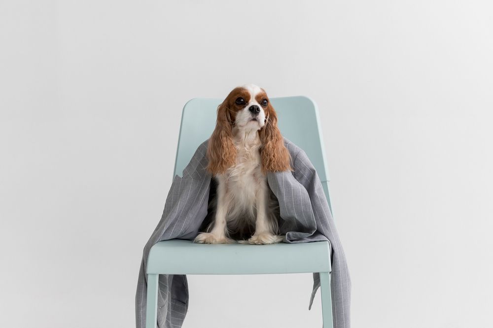 Photograph by Виктория Булатова