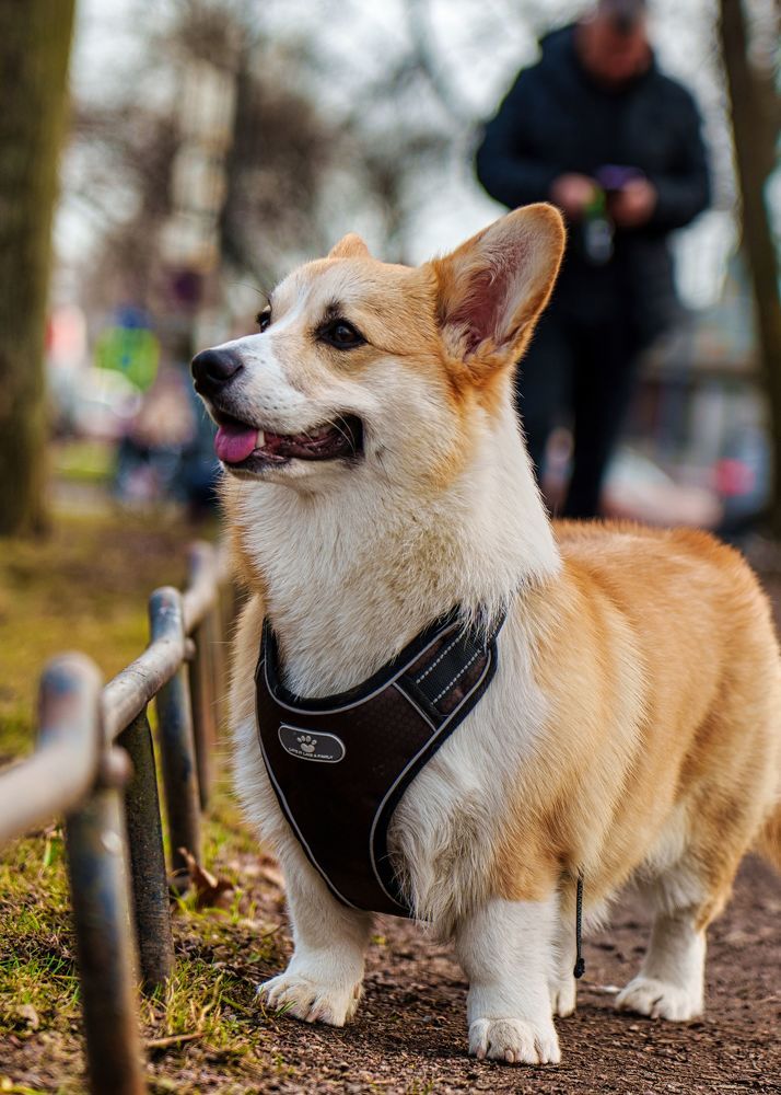 Photograph by Ignatenko Andrew