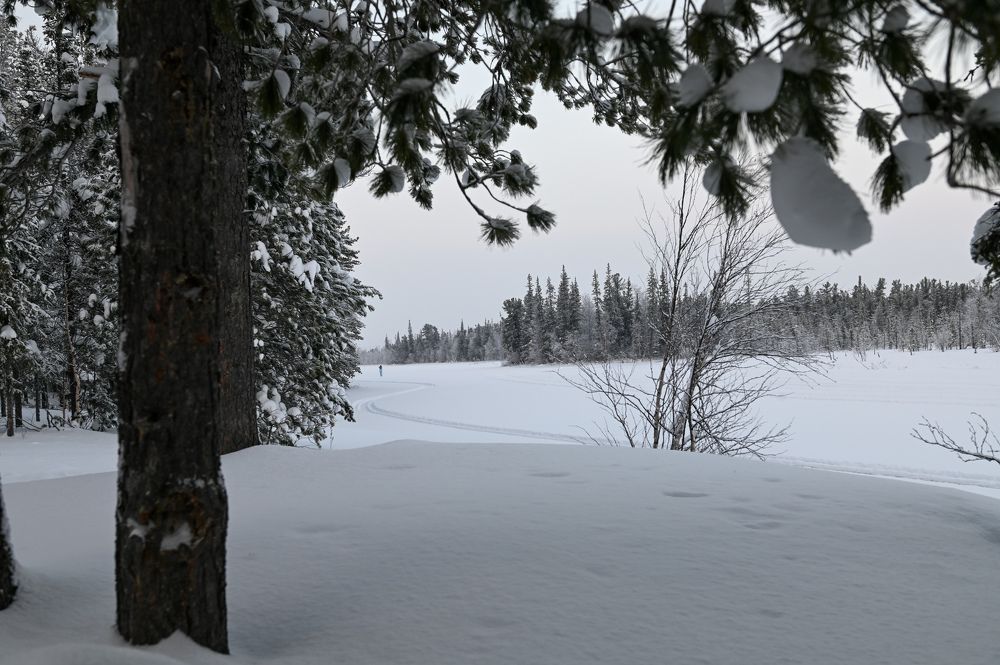 Photograph by Анна Глаговская