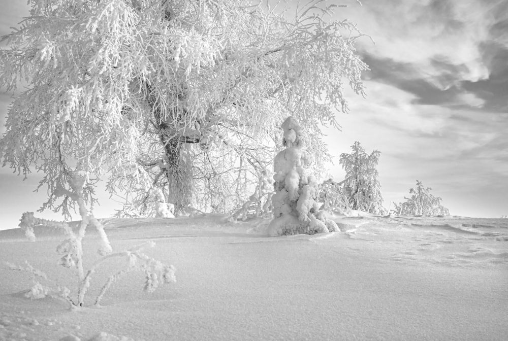 Photograph by Анна Стрелковская