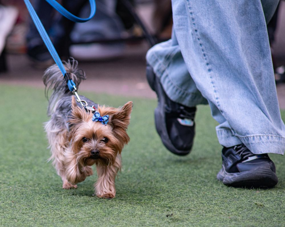 Фотография автора Aliaksandr Shautsou