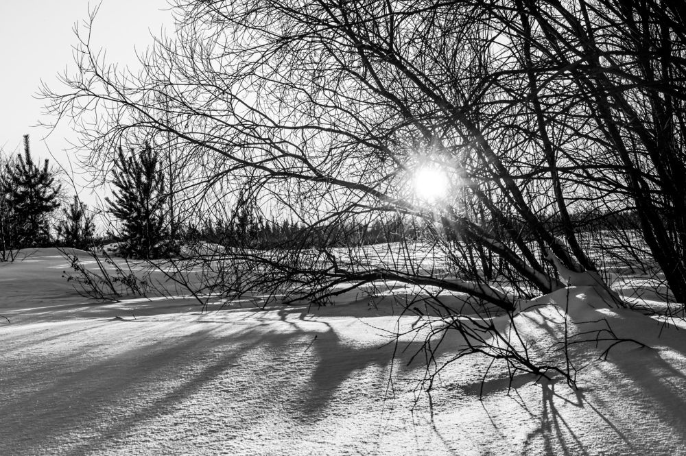 Photograph by Анна Глаговская