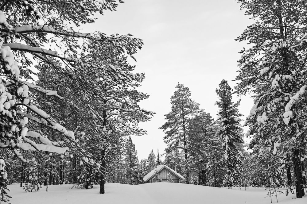 Photograph by Анна Глаговская