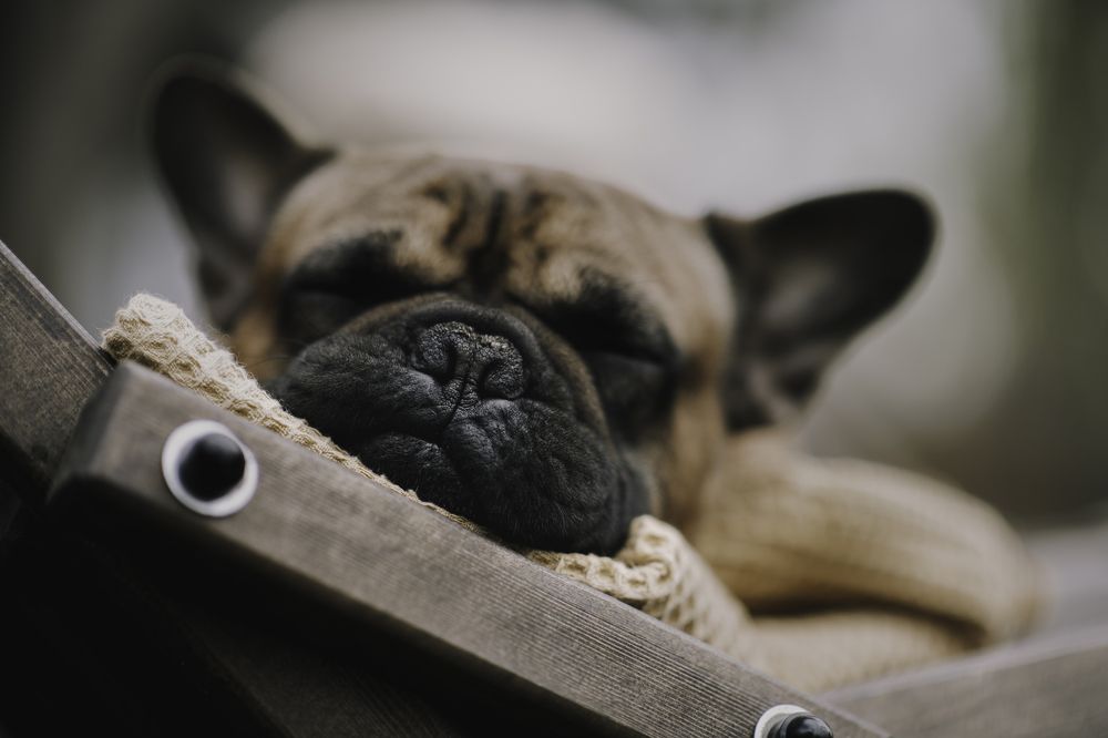 Photograph by Светлана