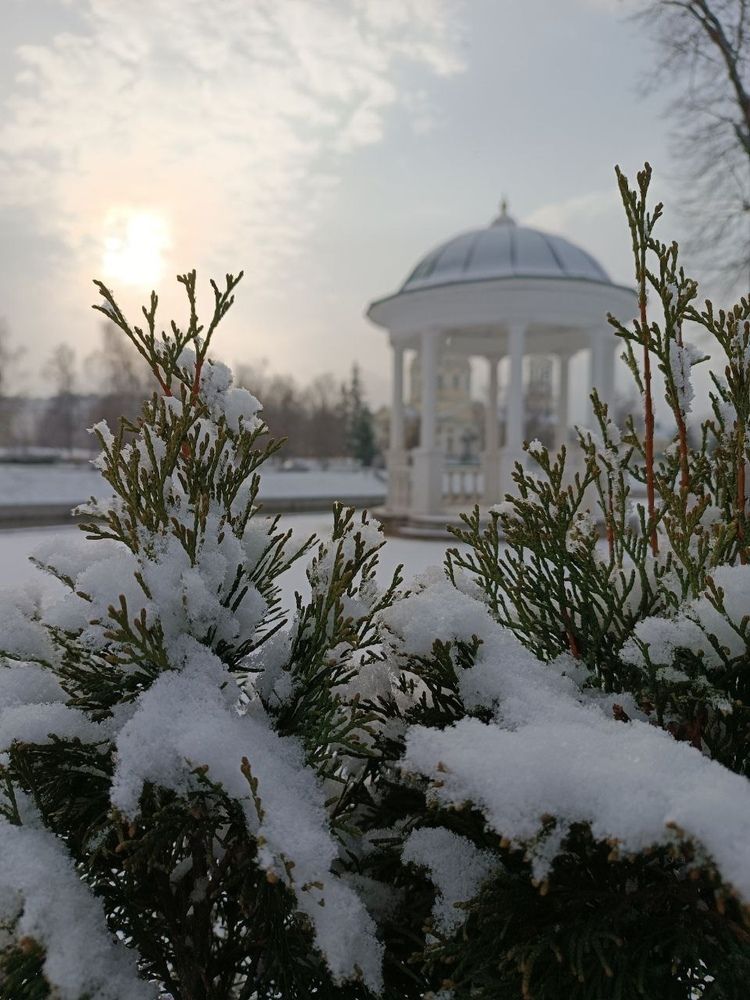 Photograph by Сидорова Ирина