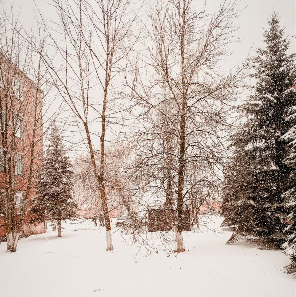 Photograph by Сидорова Ирина