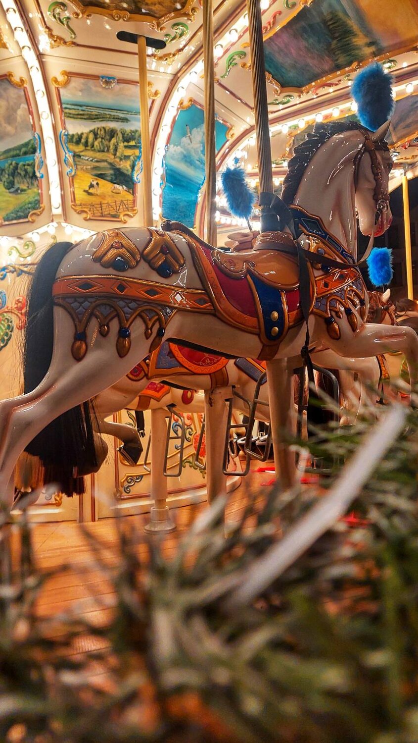 Photo #11624475