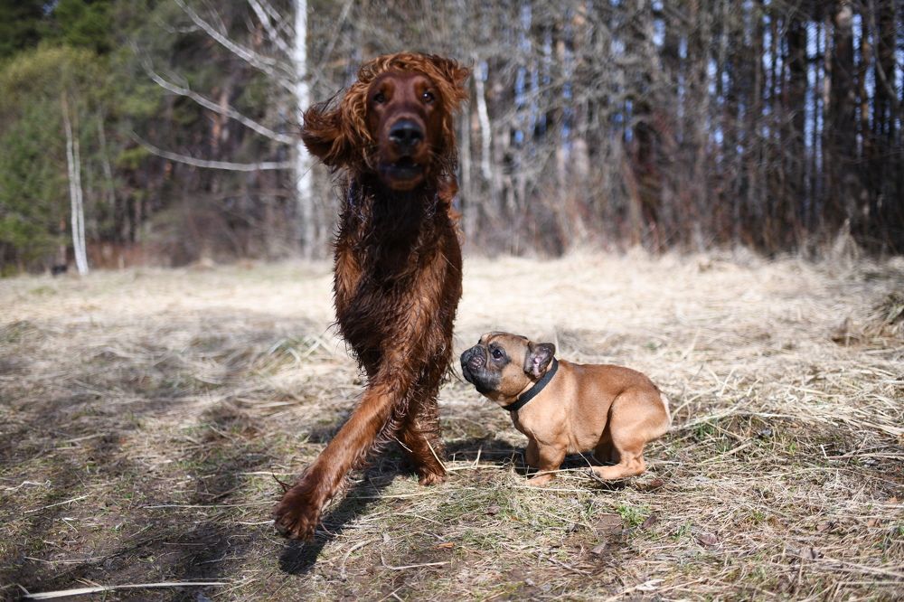 Photograph by Светлана