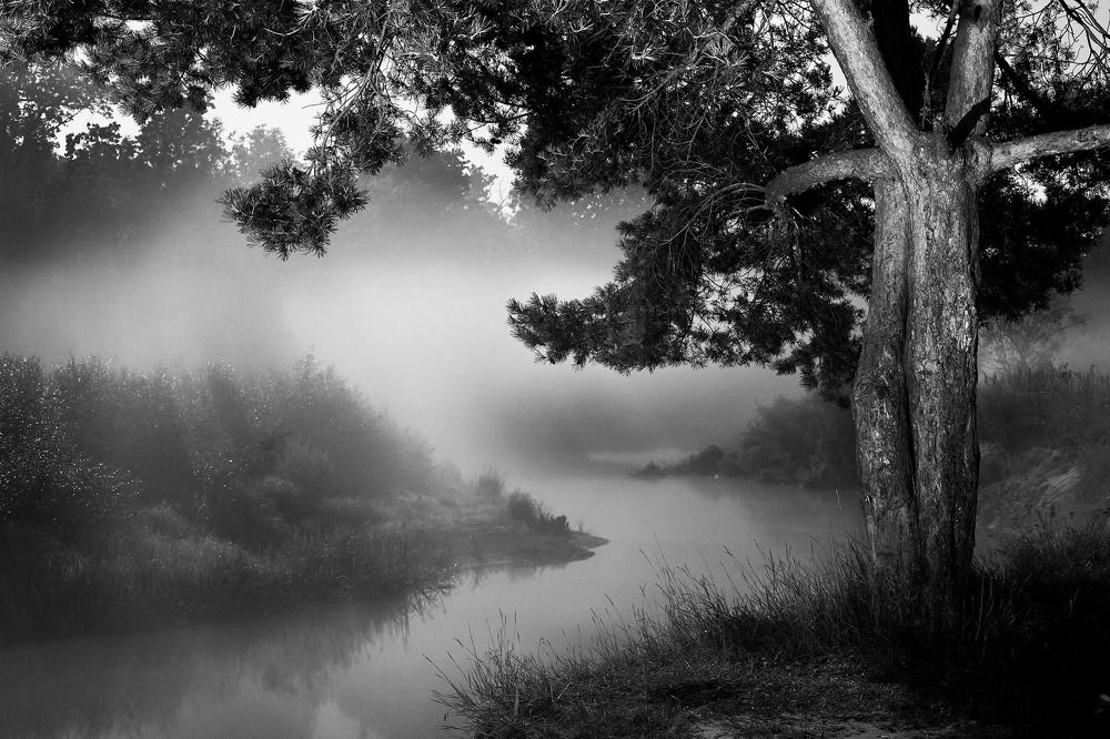 Photograph by Totoro