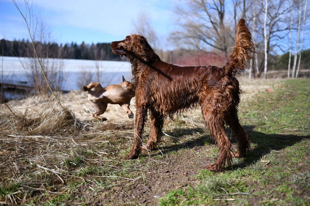 Photograph by Светлана