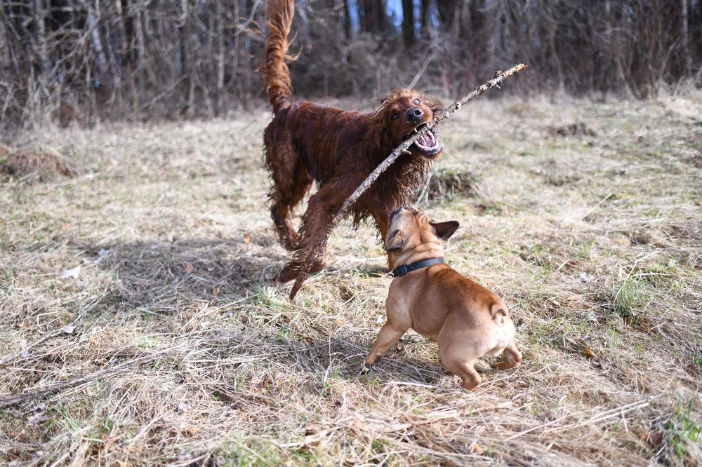 Photograph by Светлана