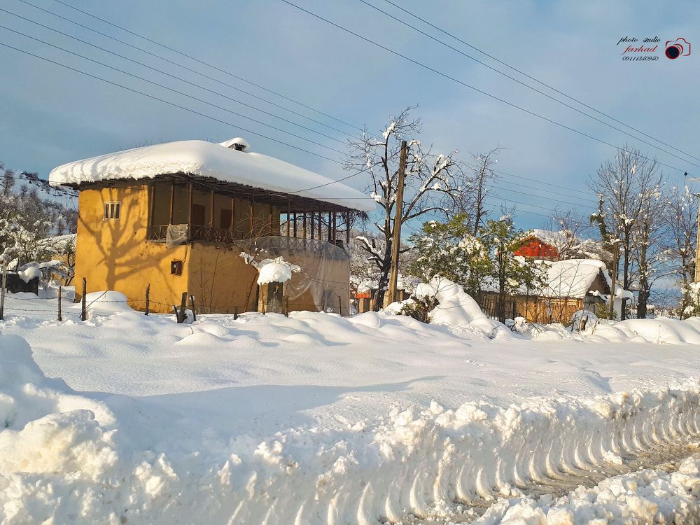 Фотография автора Farhad Alidost