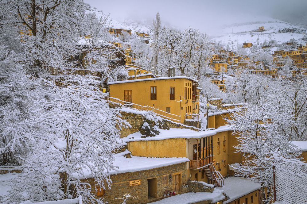 Фотография автора Farhad Alidost