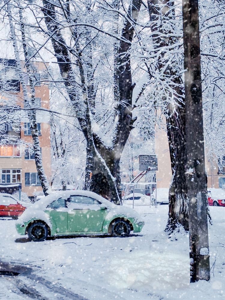 Фотография автора Любовь