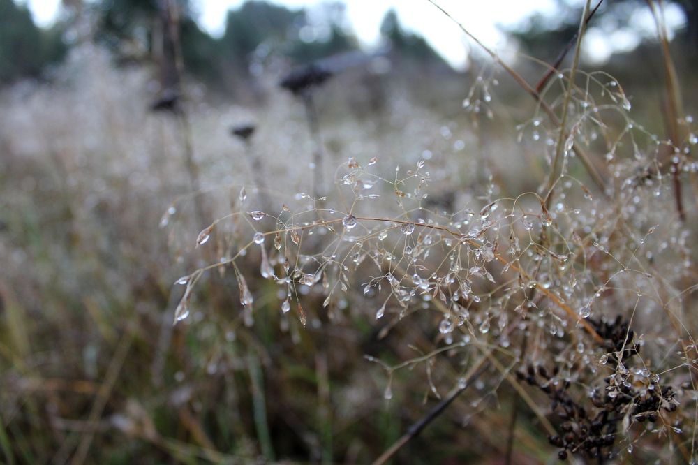 Photograph by Olga Bagaeva