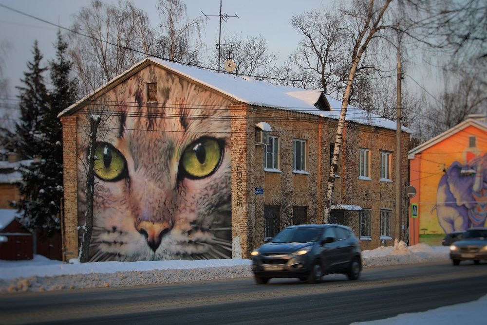 Photograph by Любовь Петрицкая