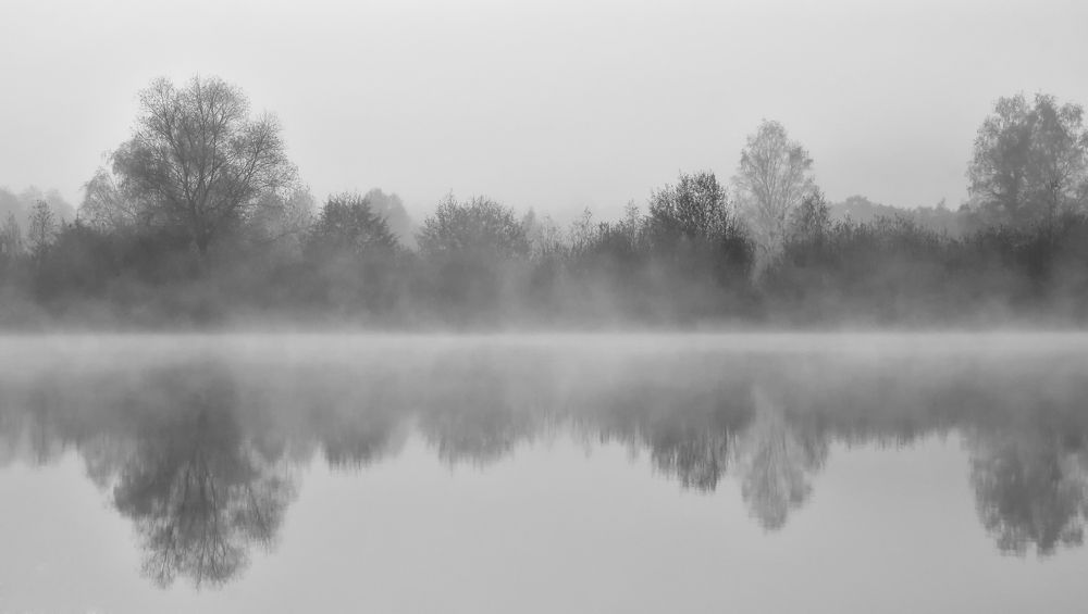 Photograph by Юлия Абрамова