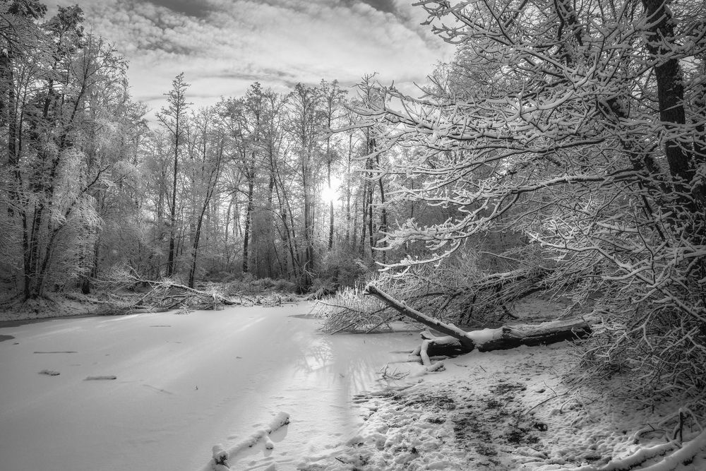 Фотография автора Валерий Лушин