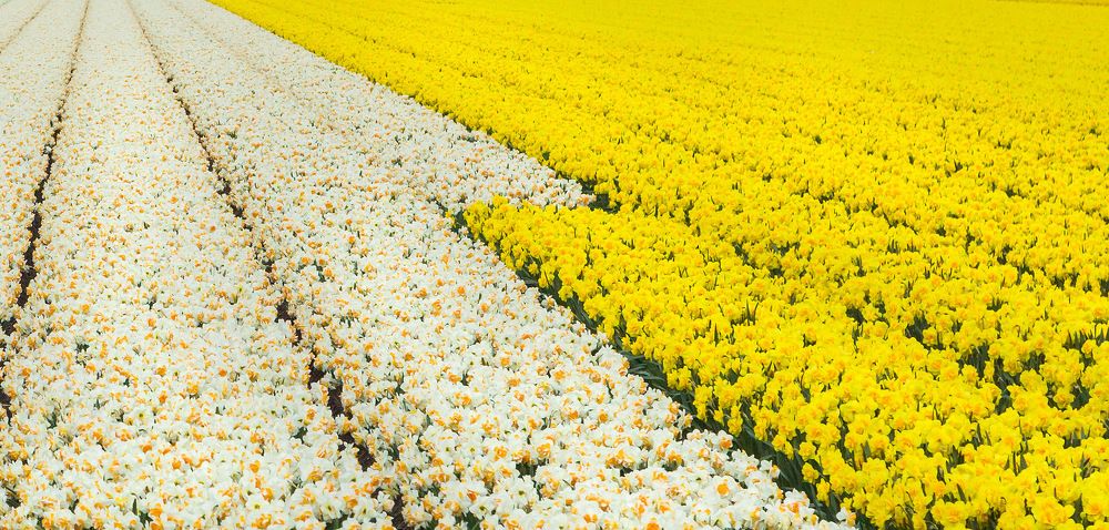 Photograph by Елена Покрепа