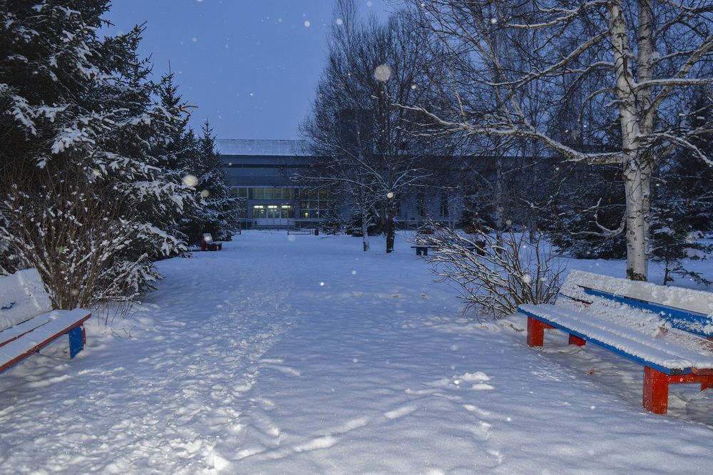 Однажды вечером