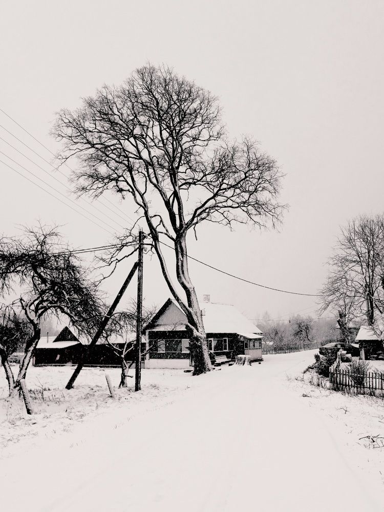 Photo #11624721