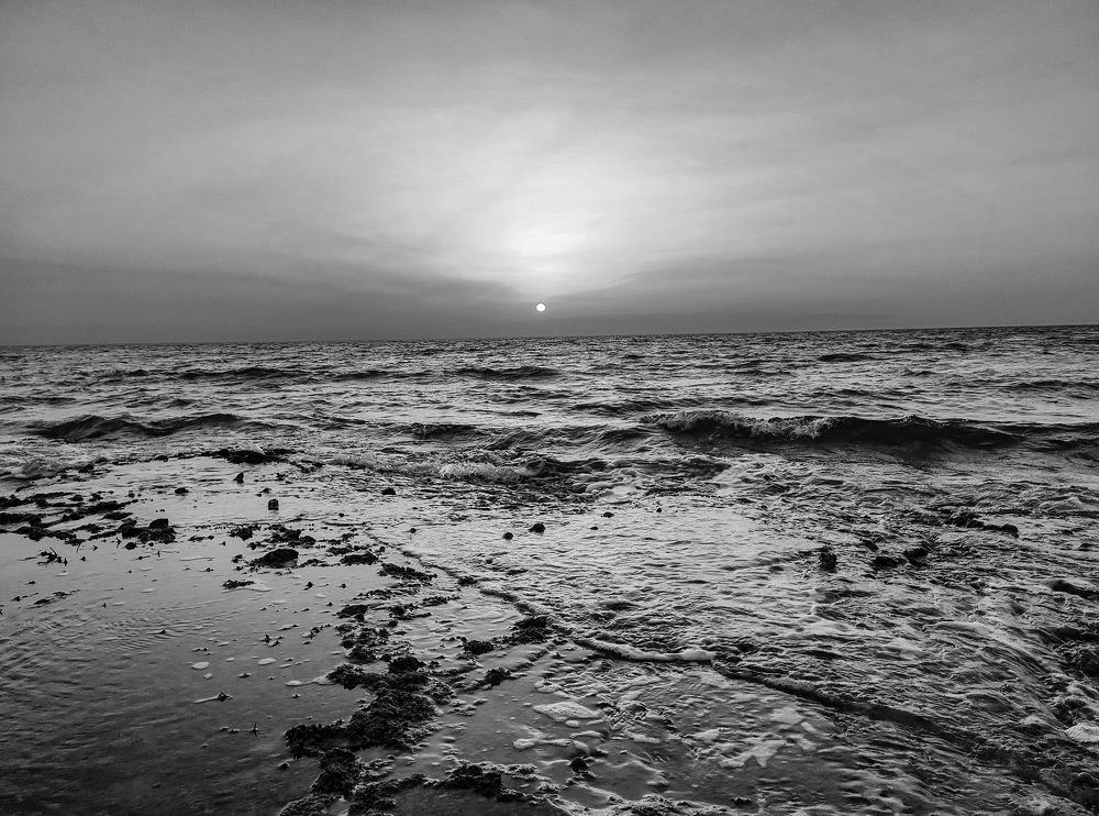 Photograph by Mohammed Abdallah