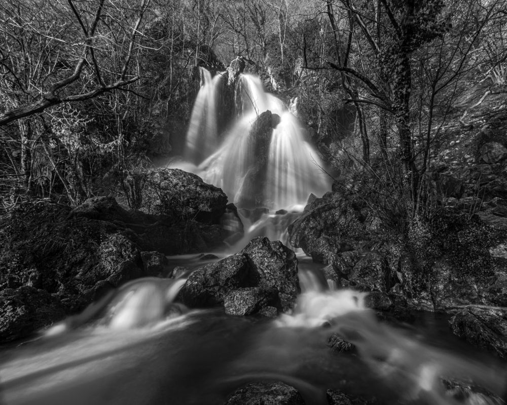 Photograph by Валерий Лейко