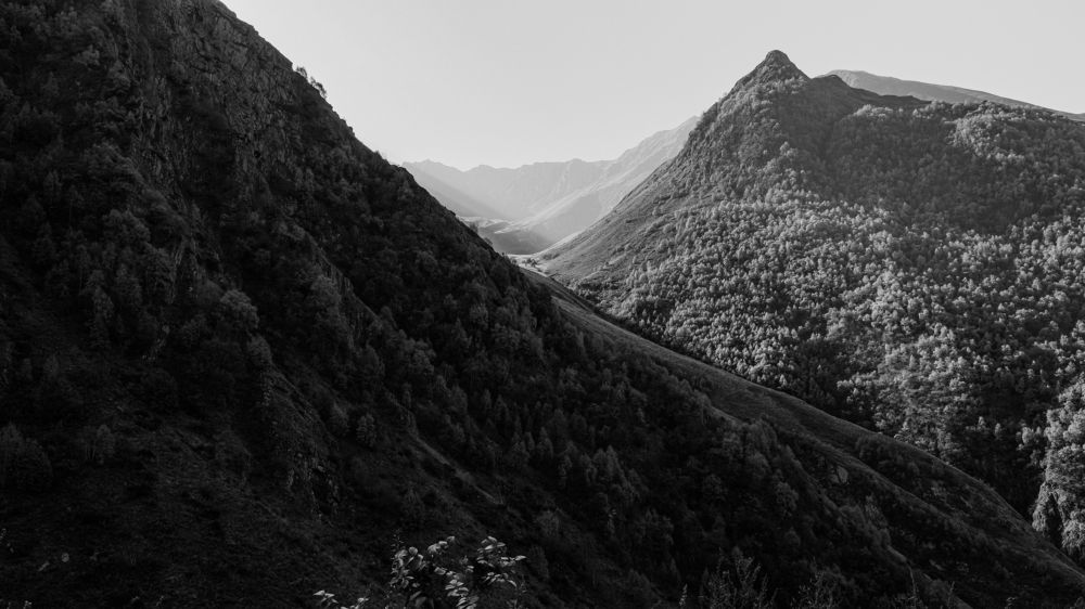 Photograph by Ольга Чепракова